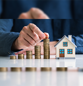 Investment Opportunities